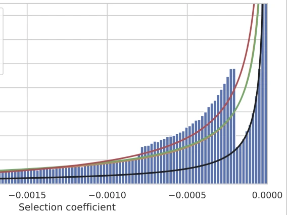 Distribution hs simulated and inferred with DFE inference tools