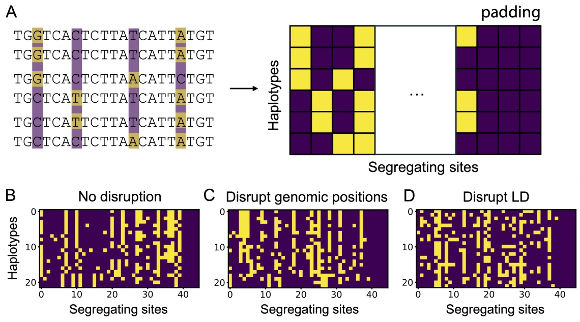 Illustration of ConfuseNN data shuffling approach
