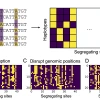 Illustration of ConfuseNN data shuffling approach